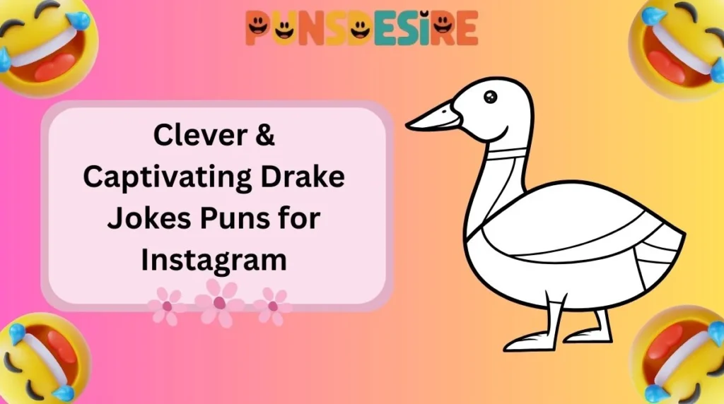 Clever & Captivating Drake Jokes Puns for Instagram