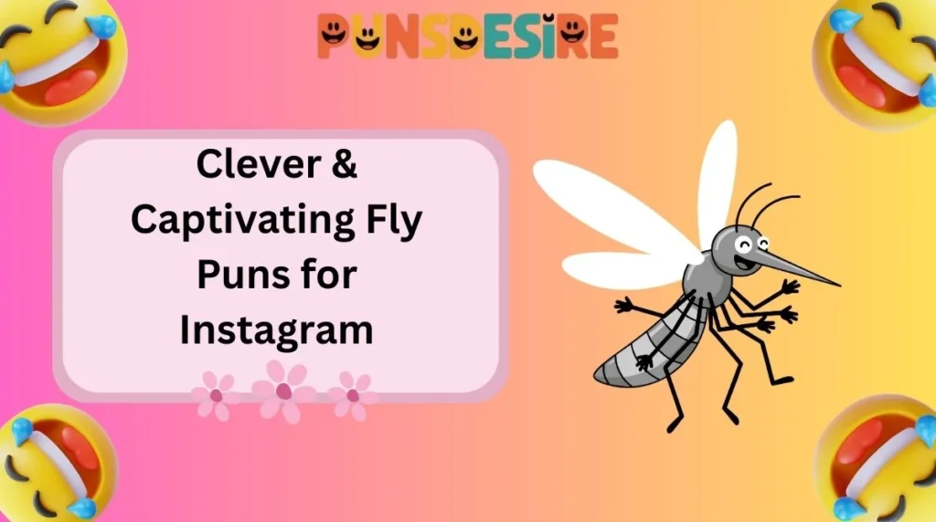 Clever & Captivating Fly Puns for Instagram