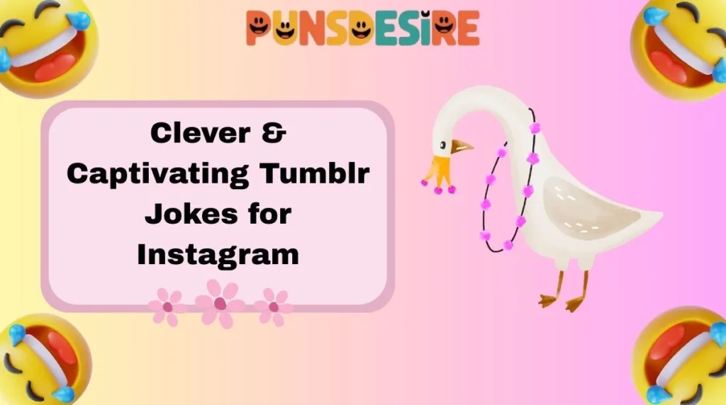 Clever & Captivating Tumblr Jokes for Instagram