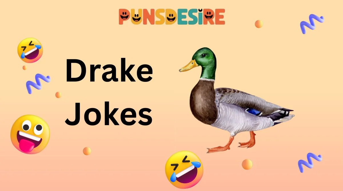 Drake Jokes