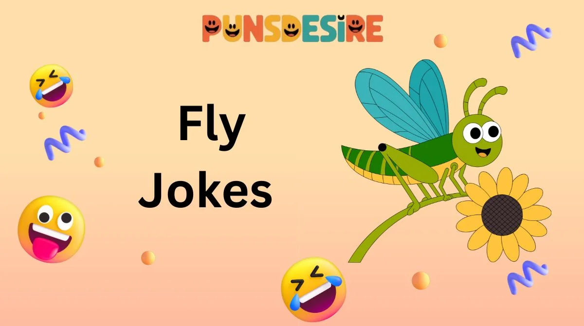 Fly Jokes
