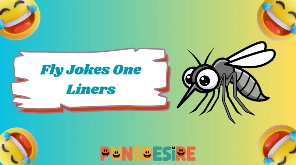Fly Jokes One Liners