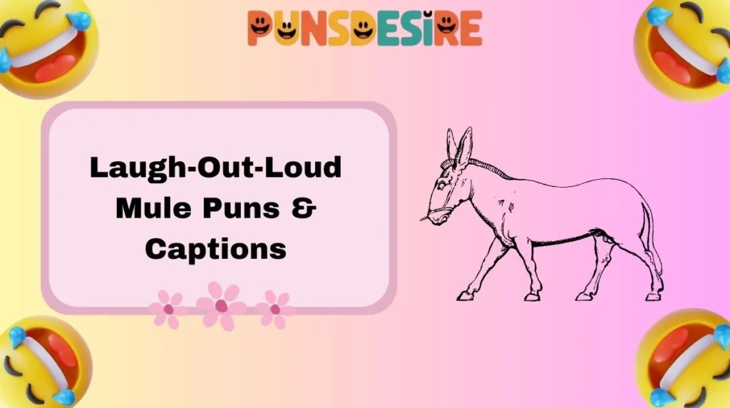 Laugh-Out-Loud Mule Puns & Captions