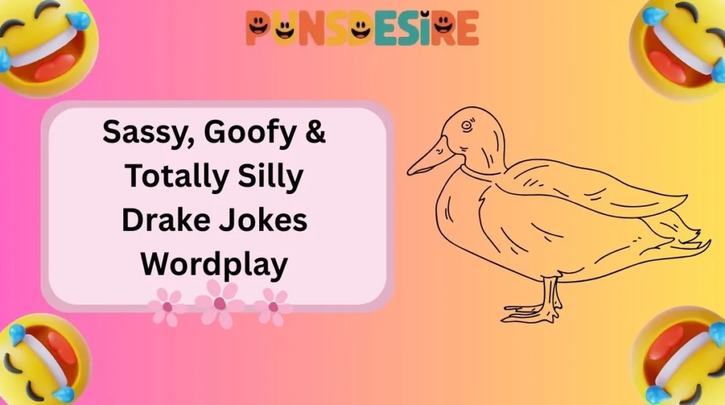 Sassy, Goofy & Totally Silly Drake Jokes Wordplay