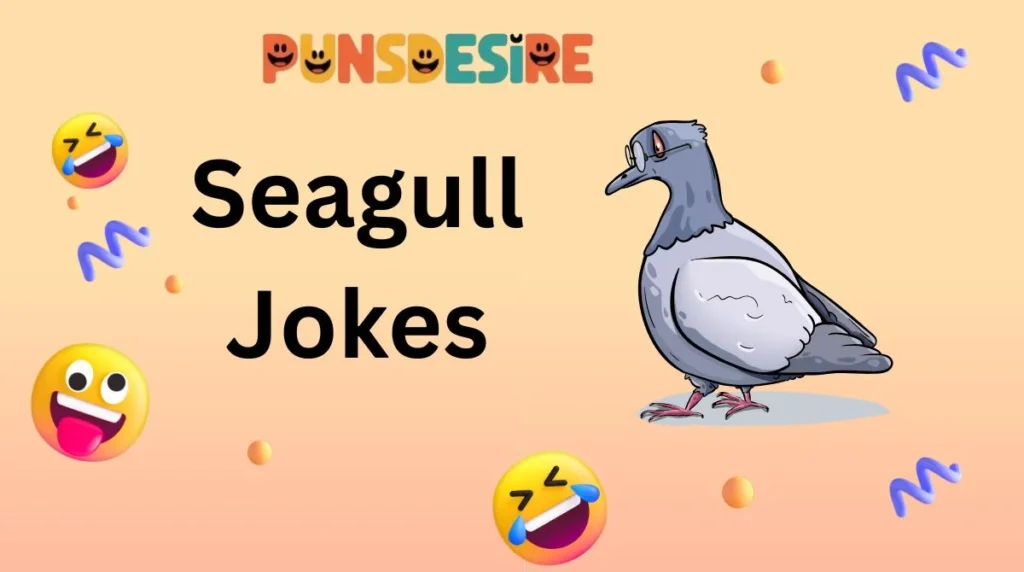 Seagull Jokes