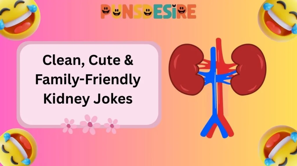 Clean, Cute & Family-Friendly Kidney Jokes