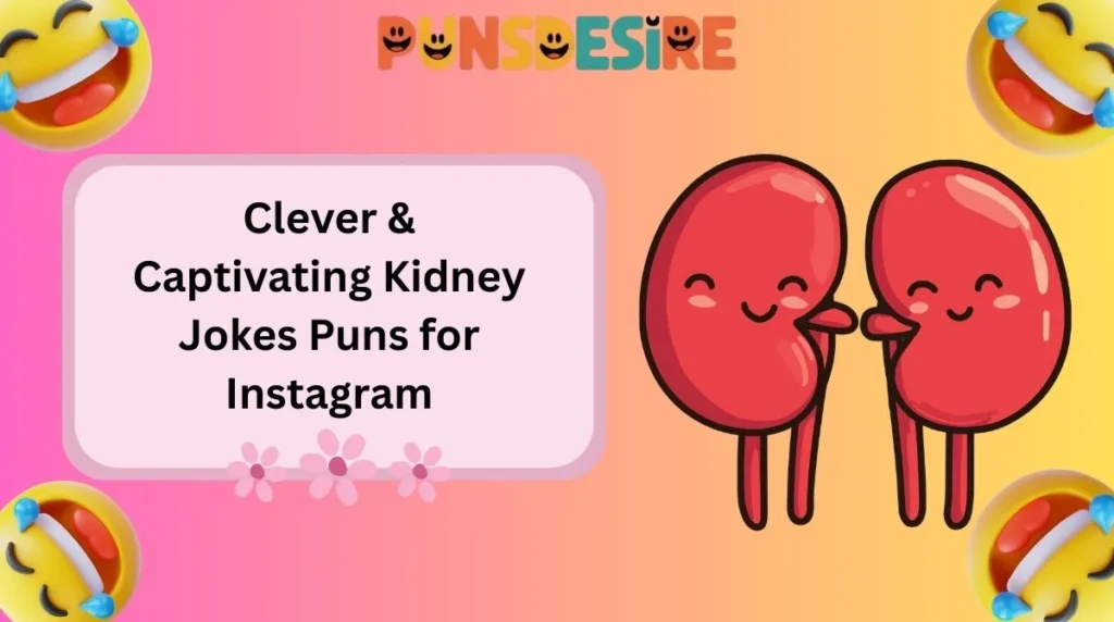 Clever & Captivating Kidney Jokes Puns for Instagram