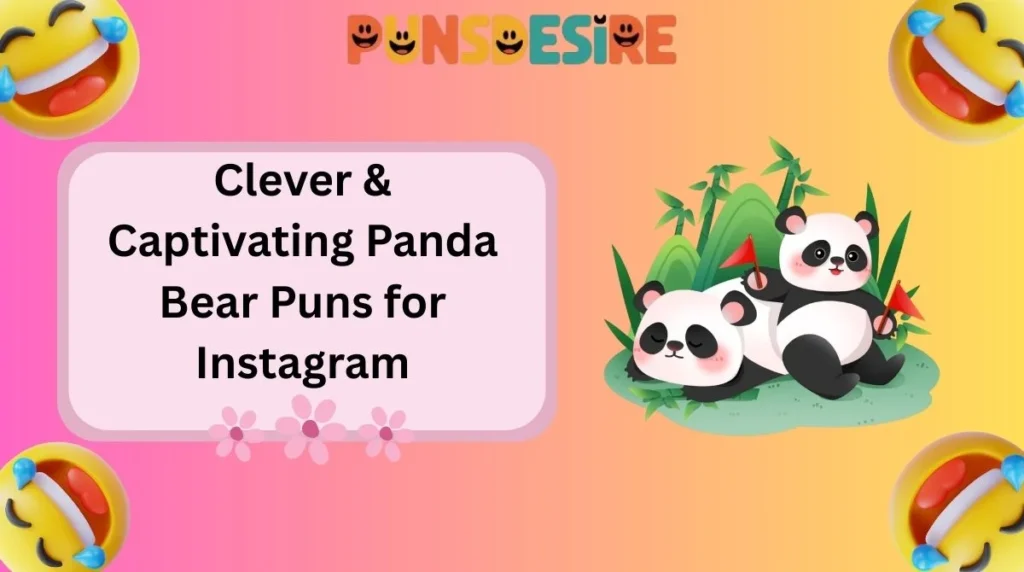 Clever & Captivating Panda Bear Puns for Instagram