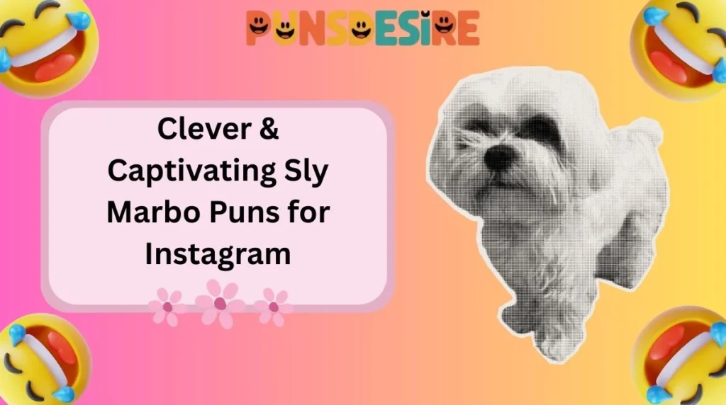 Clever & Captivating Sly Marbo Puns for Instagram