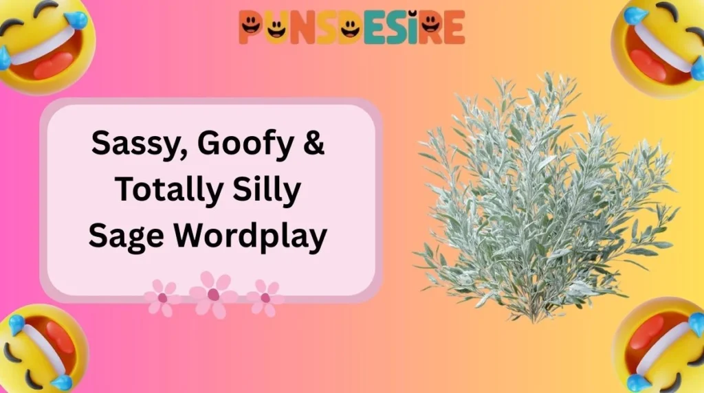 Sassy, Goofy & Totally Silly Sage Wordplay