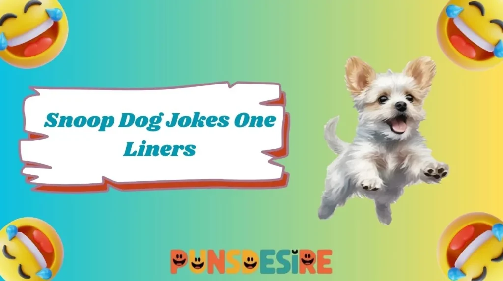 Snoop Dog Jokes One Liners