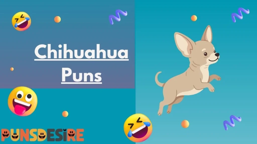 Chihuahua Puns