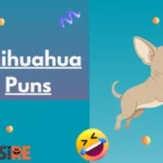 Chihuahua Puns