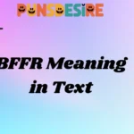 BFFR Meaning in Text