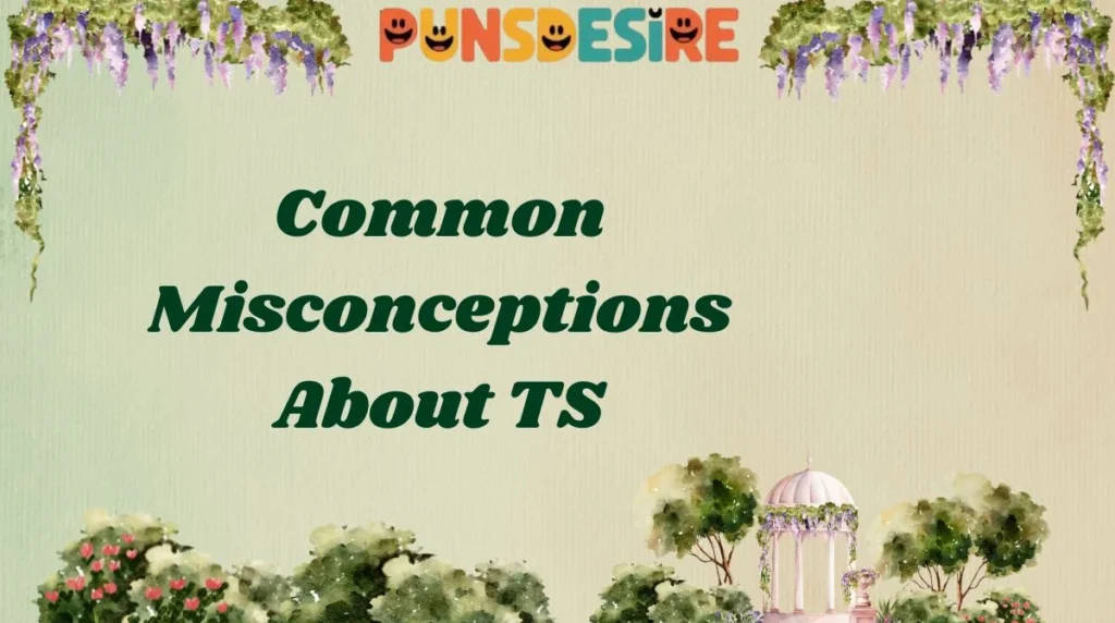 Common Misconceptions About TS