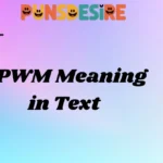 DPWM Meaning in Text