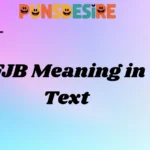 FJB Meaning in Text