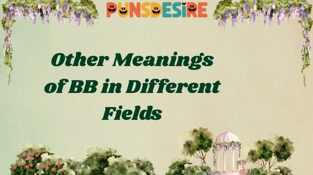 Other Meanings of BB in Different Fields