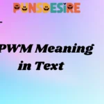 SPWM Meaning in Text