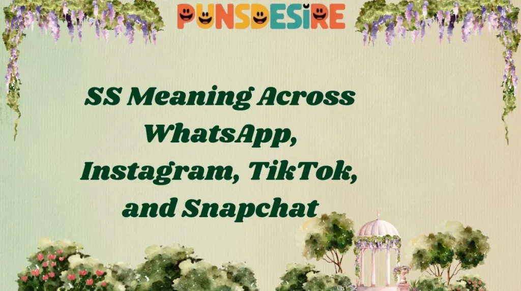 SS Meaning Across WhatsApp, Instagram, TikTok, and Snapchat