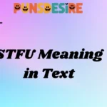STFU Meaning in Text