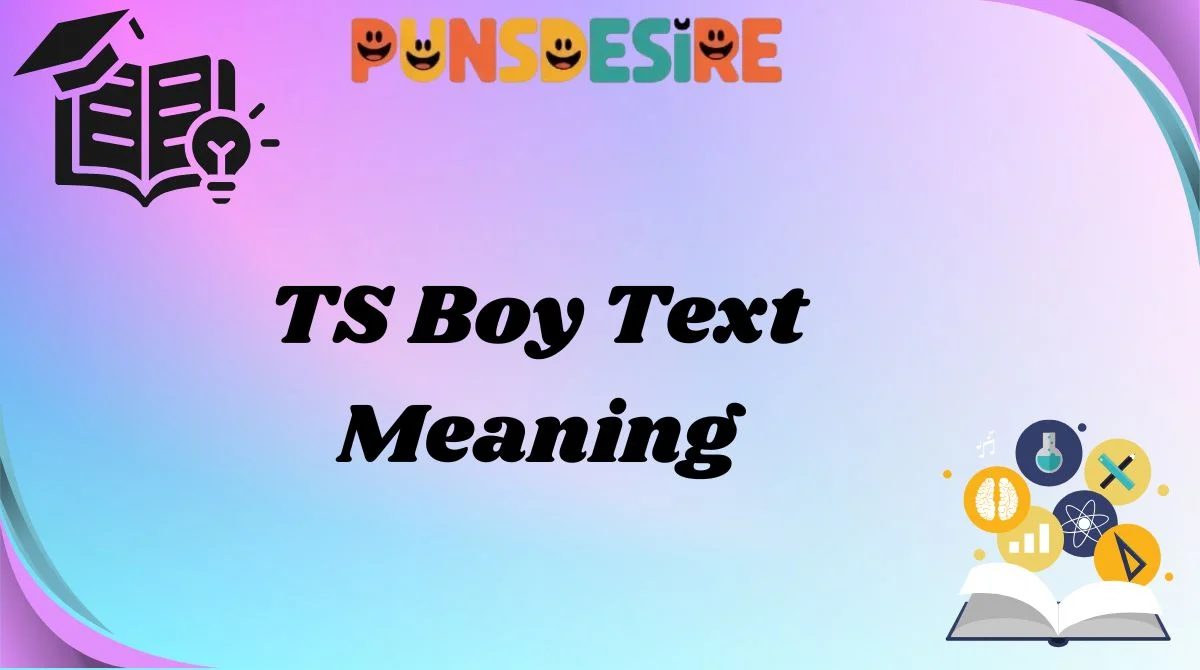 TS Boy Text Meaning