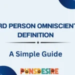 3rd Person Omniscient Definition