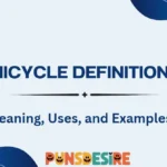Unicycle Definition